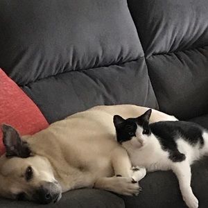 Meet your Posher, Teresa